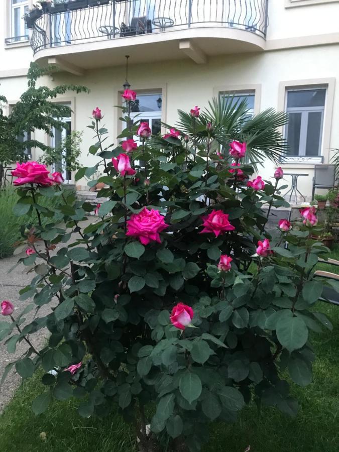 موستار Aurelia Rooms المظهر الخارجي الصورة
